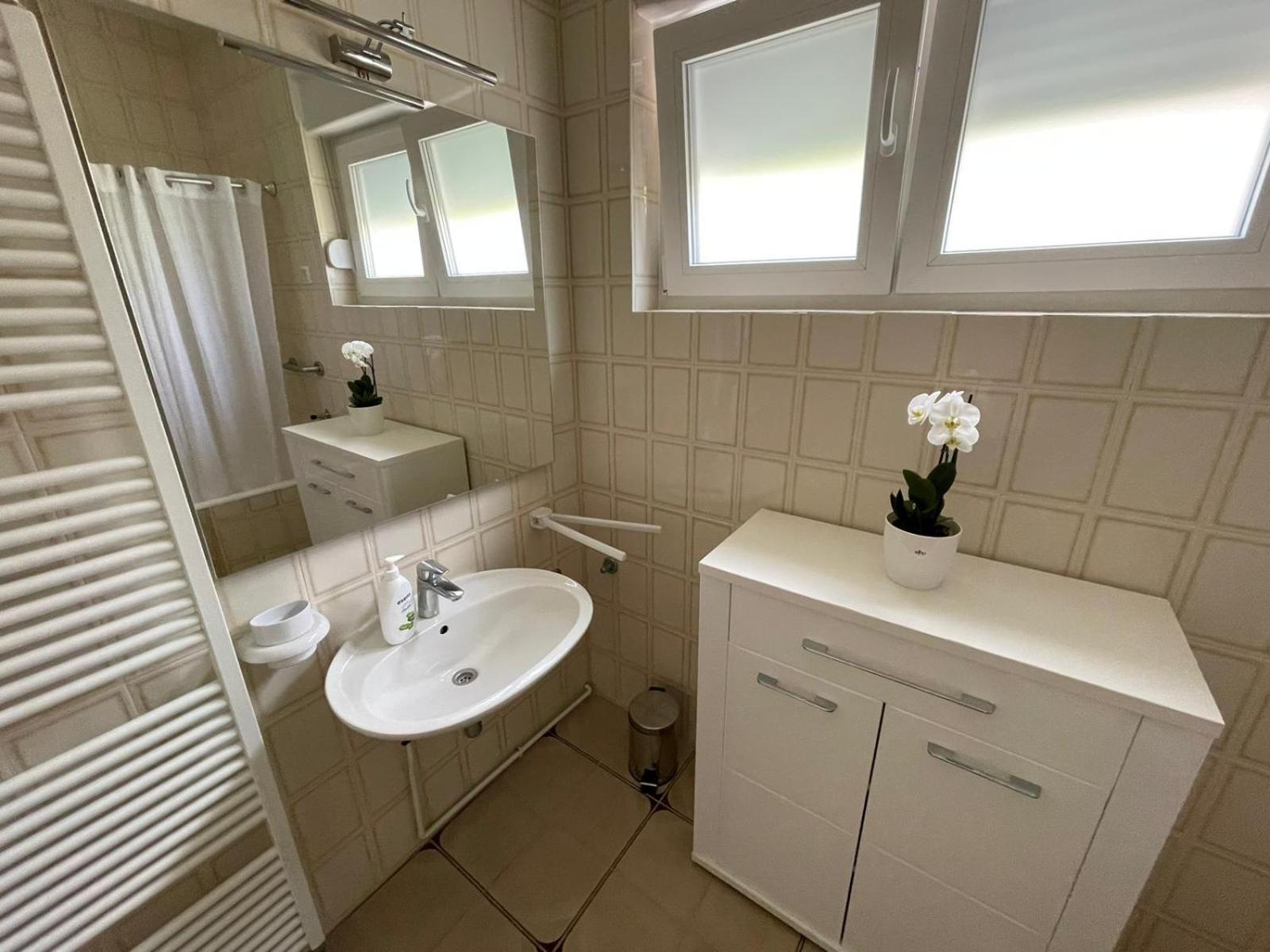 Apartment Goga