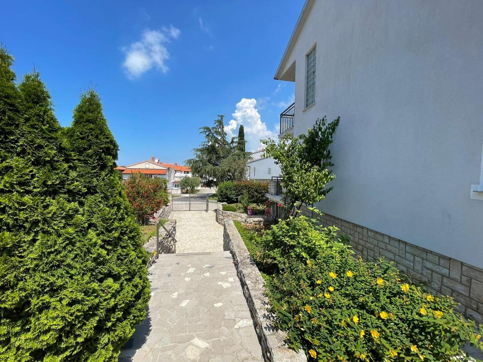 Apartment Goga